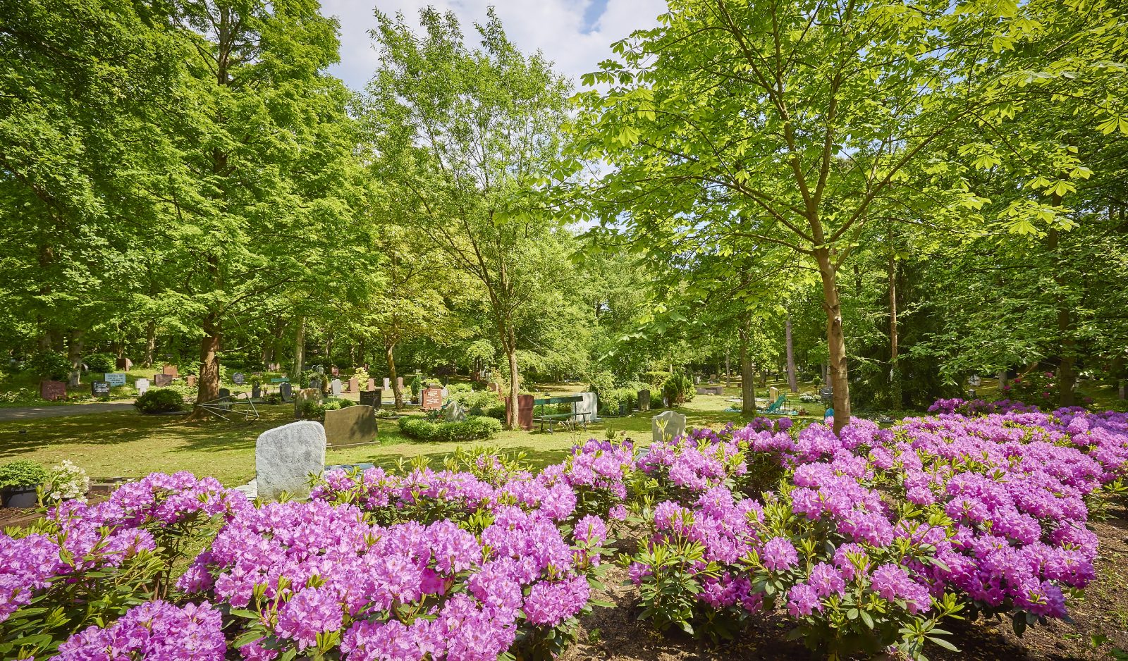 Zomerwandeling door Gedenkpark Westerveld op 7 juli