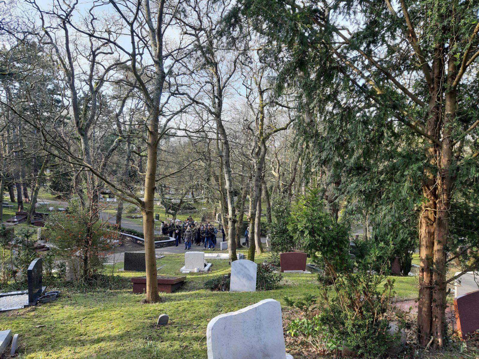 Drukbezochte winterwandeling bij Westerveld