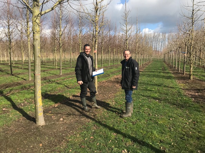 Natuur in beweging op Westerveld