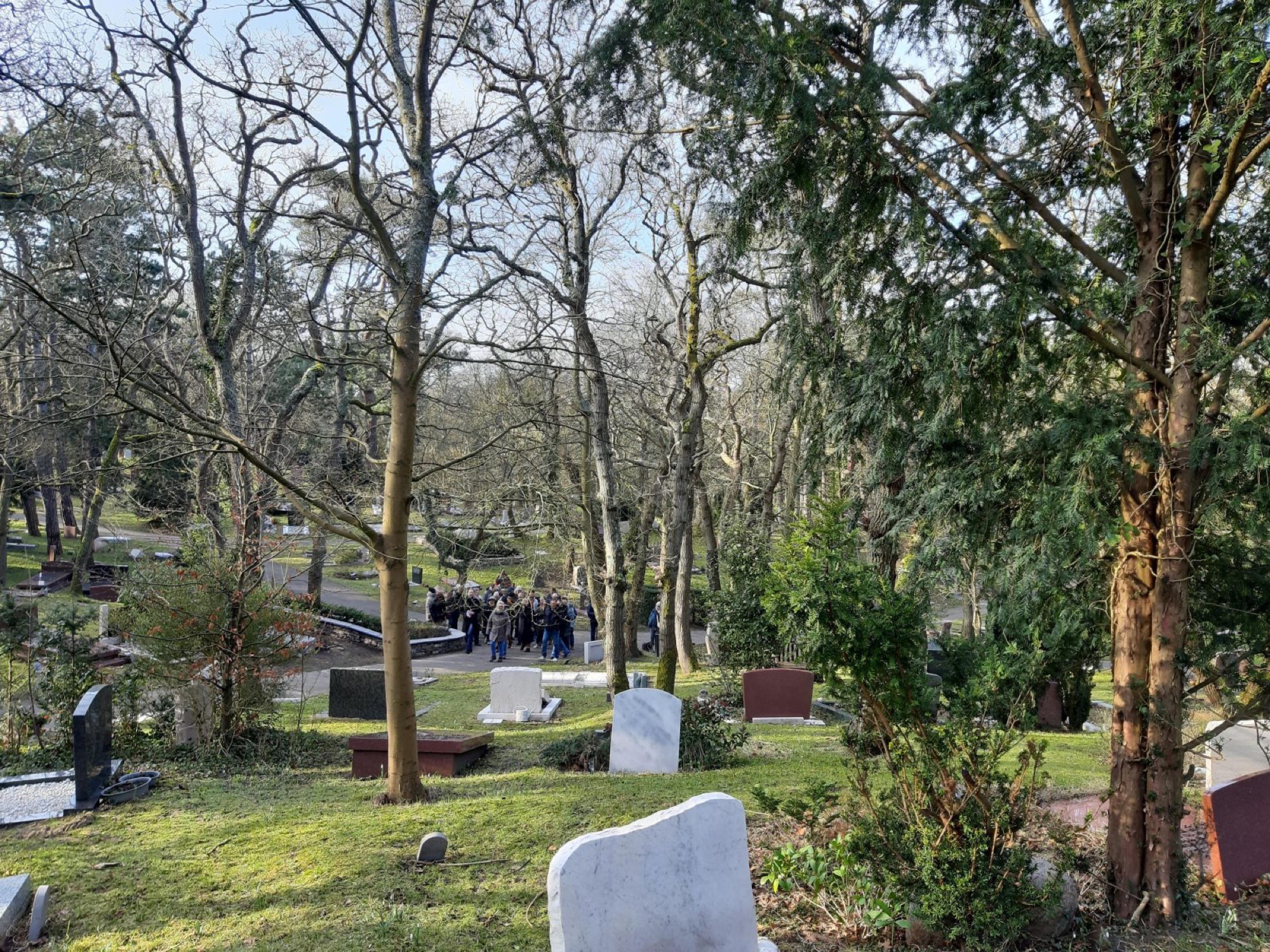 Drukbezochte winterwandeling bij Westerveld