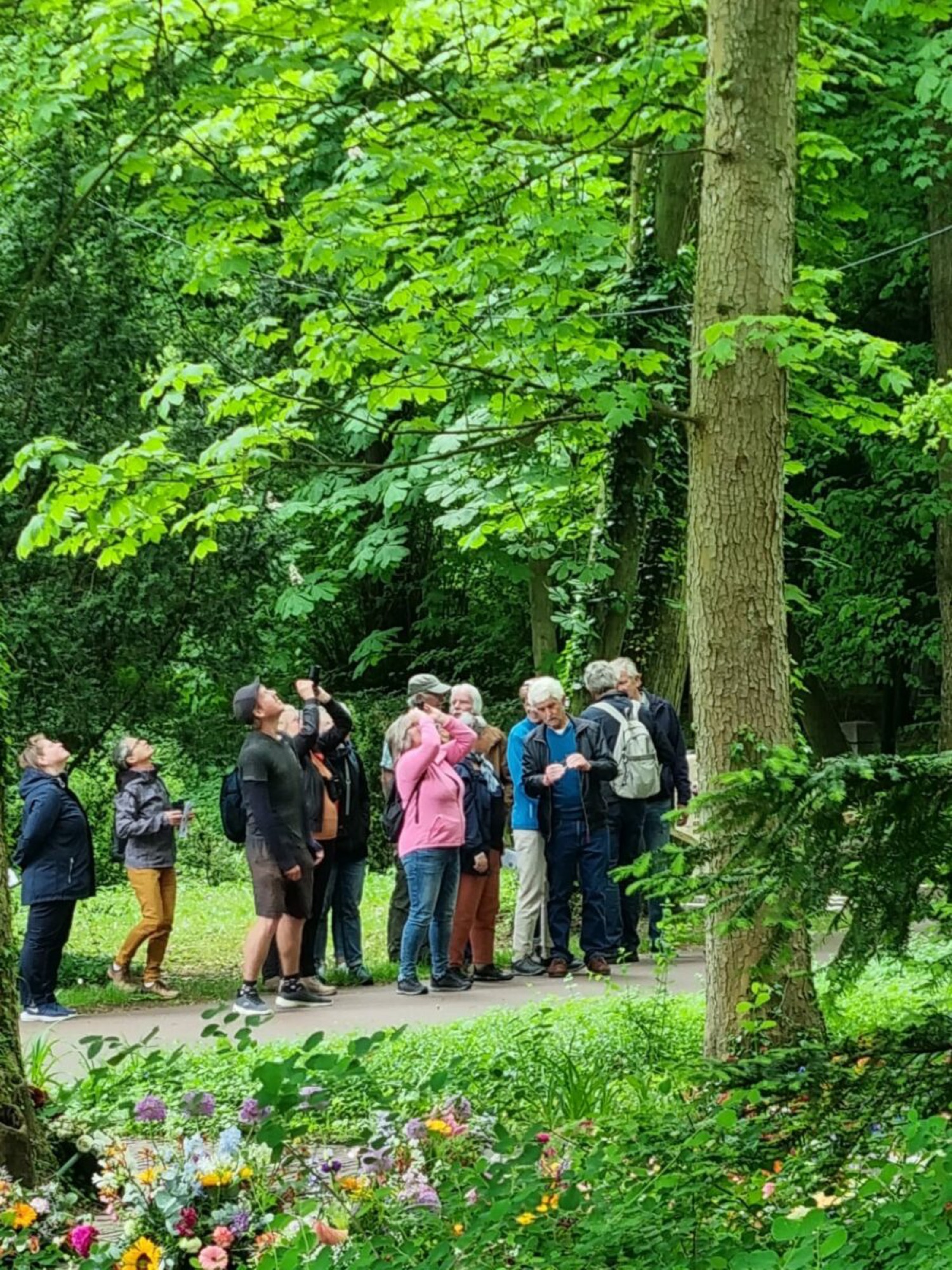Vogelwandeling Westerveld: ‘Veel gezien én gehoord!’