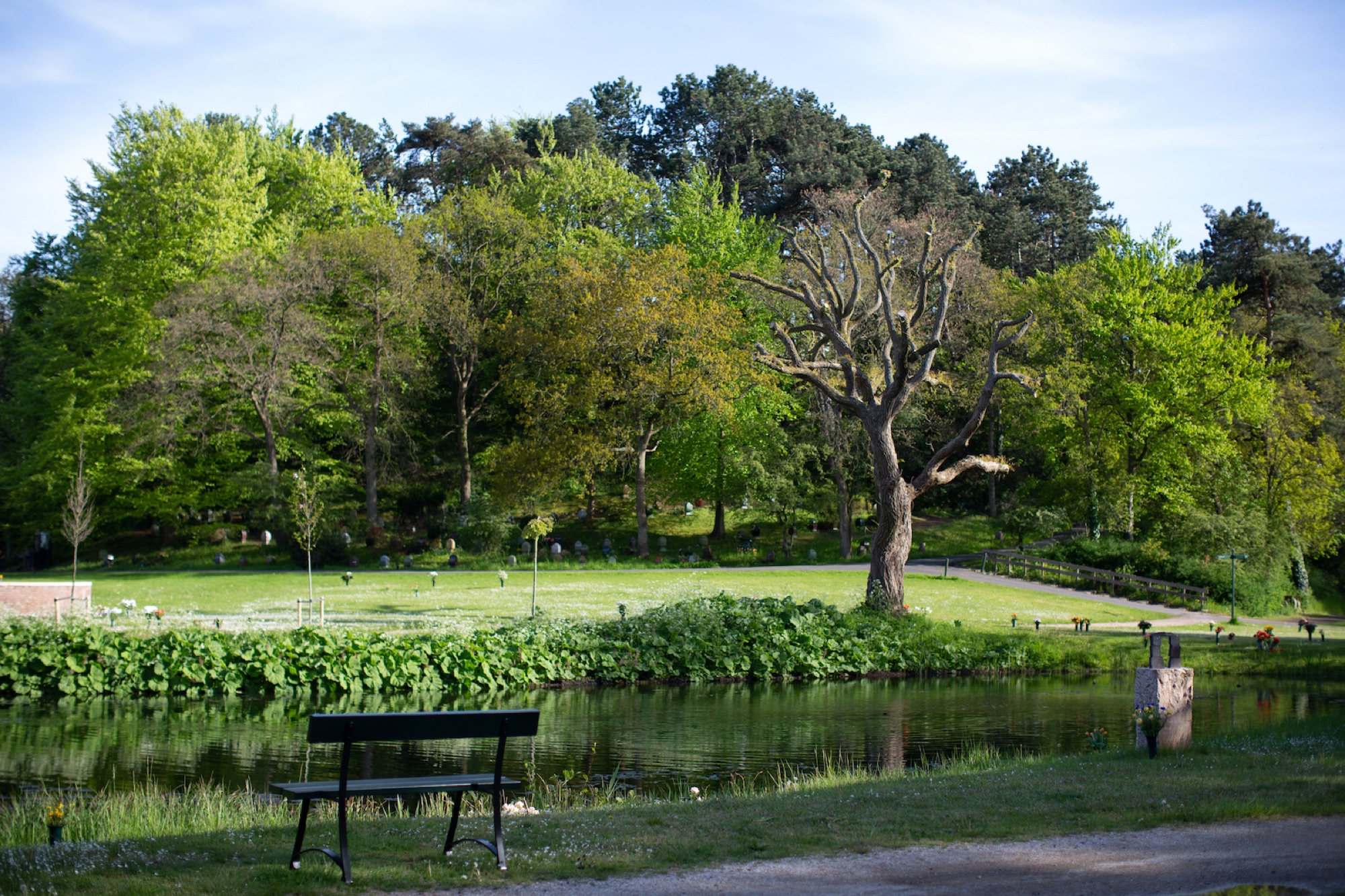 Westerveld onderdeel van culturele wandelroutes
