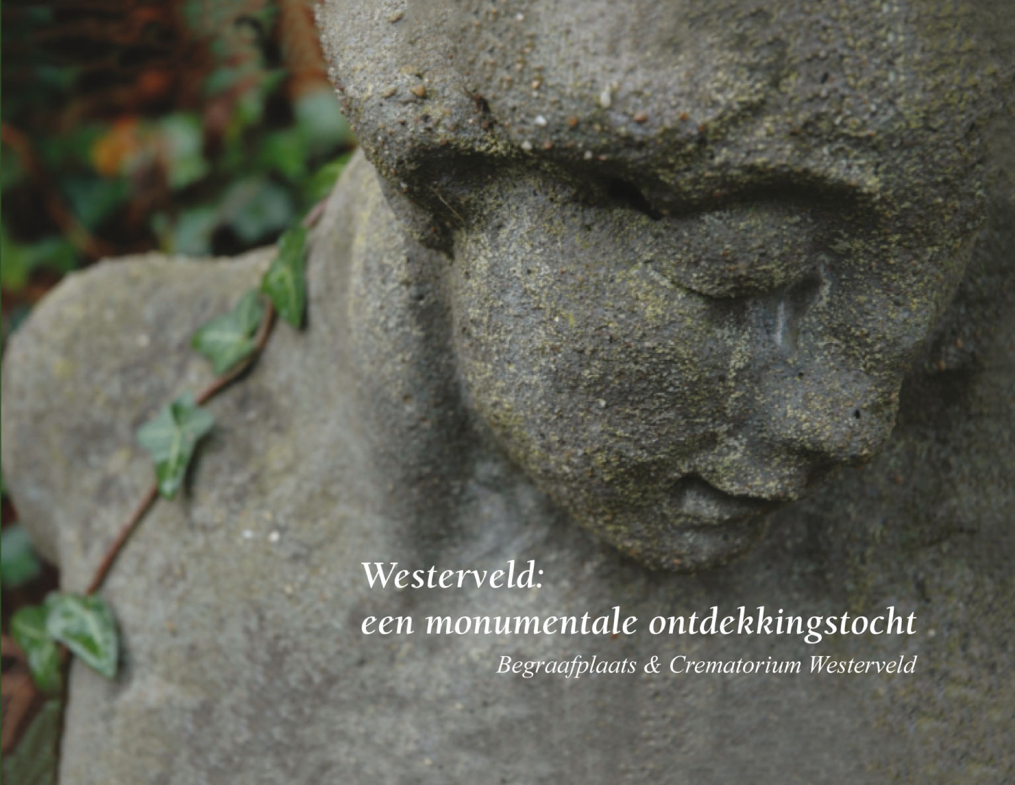 Wandeling door de tijd