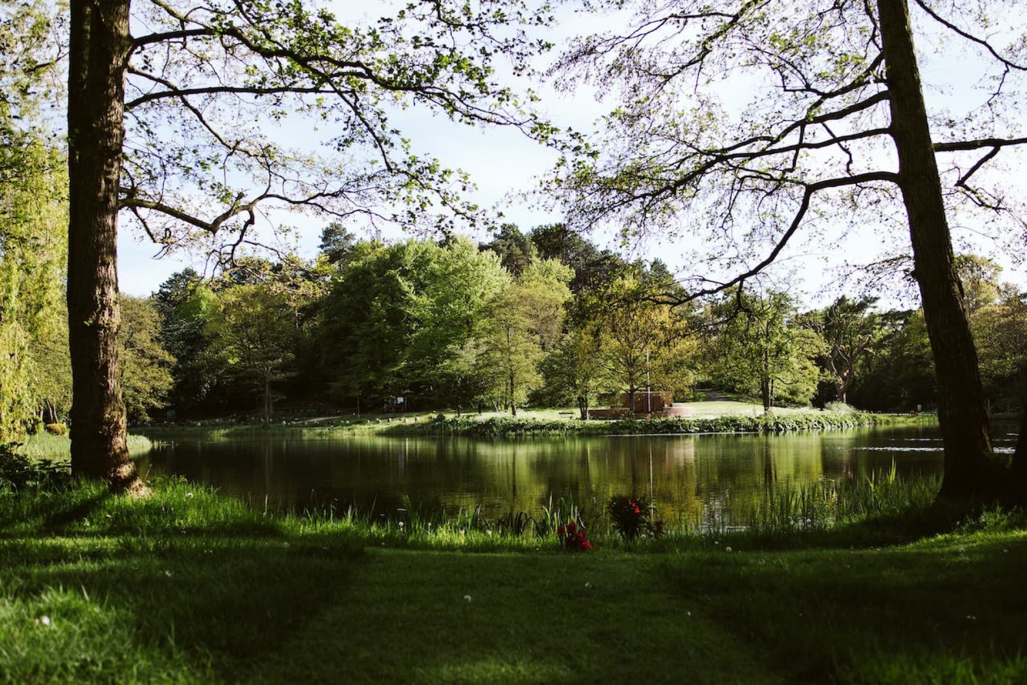 Park & natuur